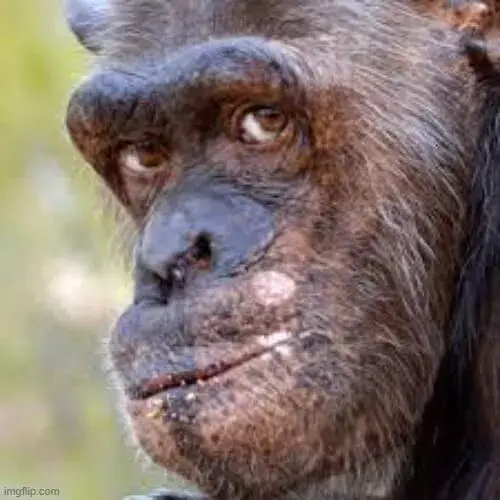 Meme liếc ánh mắt đầy vẻ gay gắt