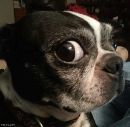 Ảnh vui liếc ánh mắt châm biếm nhẹ