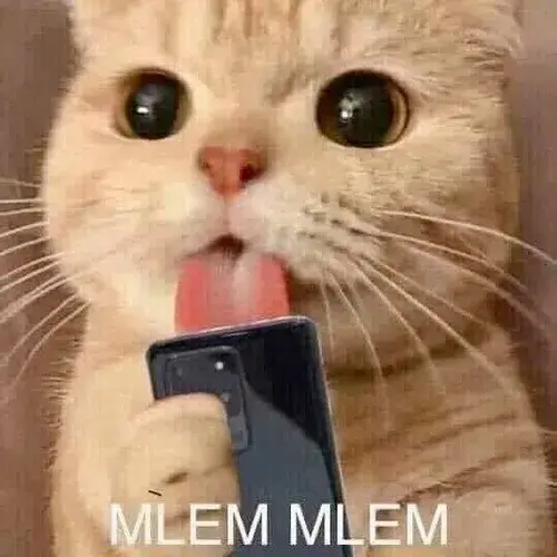 Ảnh meme mèo liếm điện thoại một cách mlem