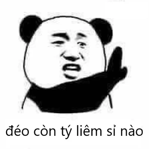 Meme gấu trúc nói đéo còn tý liêm sỉ nào