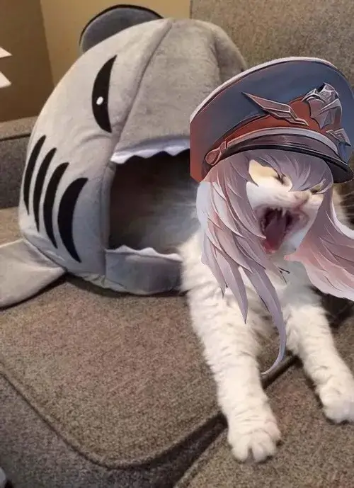 Meme hài đồng đội feed mà vẫn blame