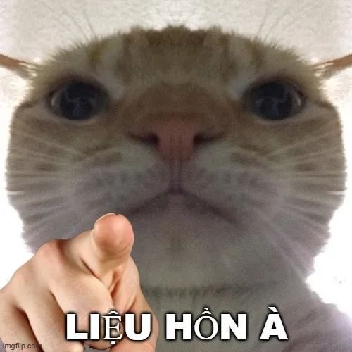 Ảnh vui kiểu “tao nhắc lần cuối nha”.