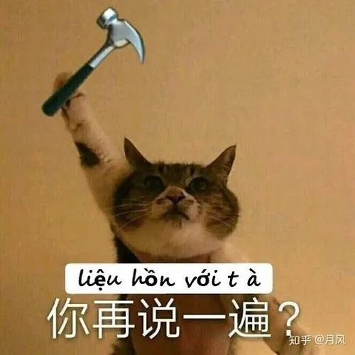 Ảnh vui biểu cảm cảnh cáo siêu mặn.