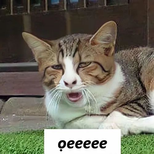 Nhìn loạt meme mèo ói này là biết dân mạng mặn cỡ nào Nhìn loạt meme mèo ói này là biết dân mạng mặn cỡ nào