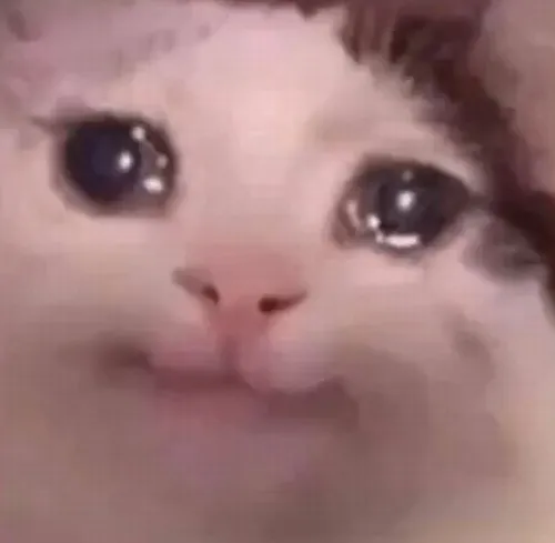 Meme hình ảnh mèo mắt long lanh