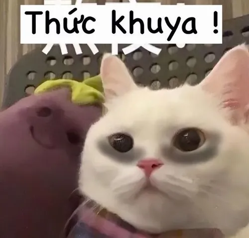 Hình chế vui mất ngủ mà cà phê bất lực