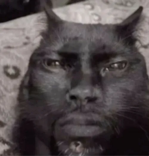 Hình troll thiểu năng cười méo miệng, nhìn vừa ngu vừa vui