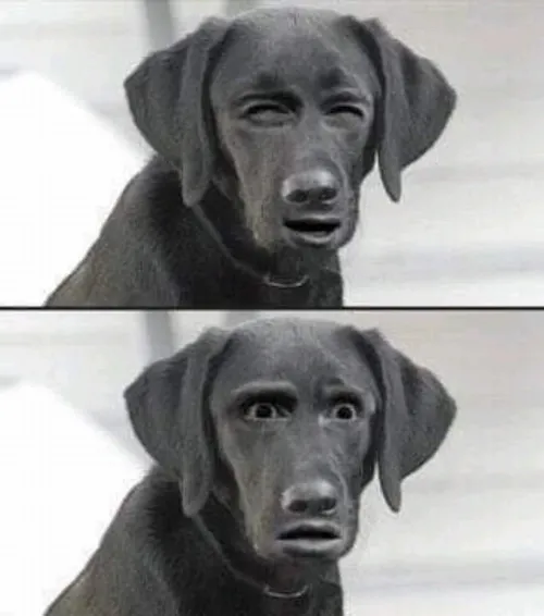 Ảnh chế vui biểu cảm căng thẳng không cần thiết