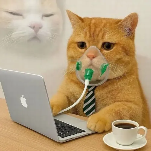 Ảnh troll boss bựa bị bắt quả tang đang phá đồ.