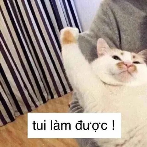 Ảnh troll boss bựa giả bộ ngây thơ nhưng mắt toàn mưu kế.