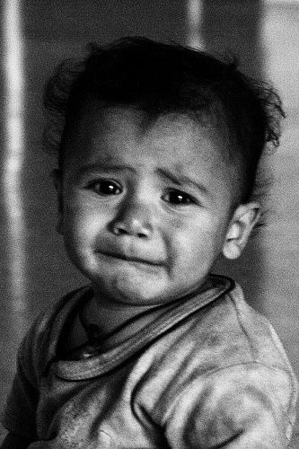 Ảnh vui kiểu nhìn thôi là thấy thương