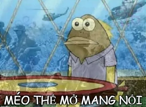 Hình troll giúp mở mang tầm mắt nhẹ nhàng