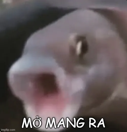 Meme hài khi não bạn vừa khởi động lại