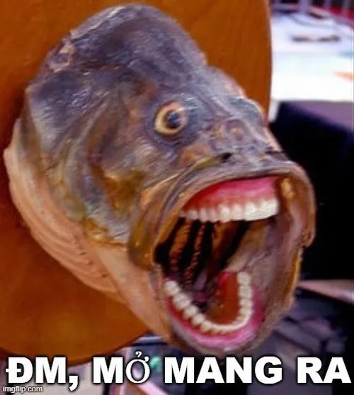 Meme hài “ôi trời ơi, hóa ra là vậy”