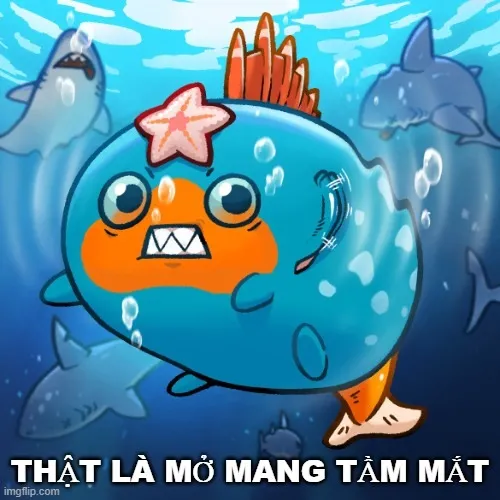 Meme hài mở mang giúp não load nhanh hơn