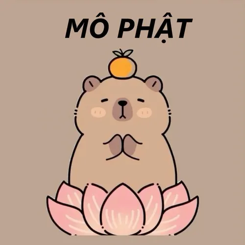 32 Ảnh vui “sân si nhưng hiền” cực trending