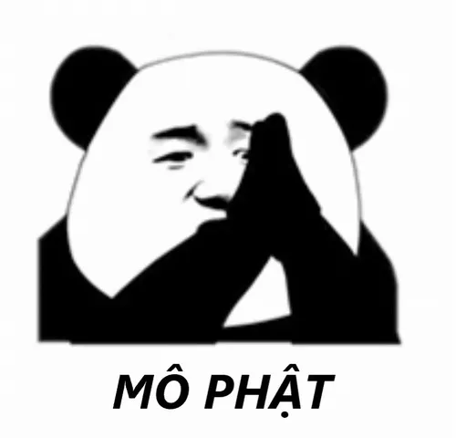 40 Meme đạo lý pha tấu hài cực tinh tế