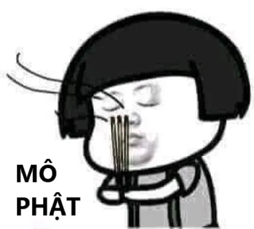 30 Ảnh troll đạo hài pha trò bình tâm