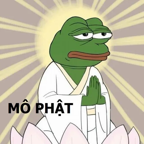 Meme hài ếch xanh Mô Phật, vừa dằn mặt vừa hiền.
