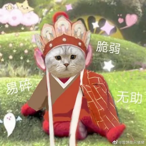 Ảnh vui Mô Phật – khuyên nhẹ mà cay nhẹ.