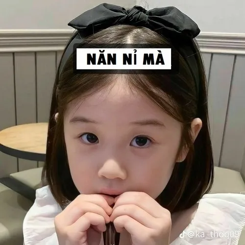 Khi lời “làm ơn đi mà” hóa thành ảnh chế triệu like