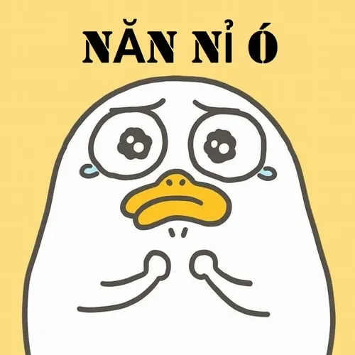 Hình troll vịt cầu khẩn tái hiện vibe người thua cuộc đáng yêu