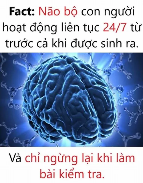 Meme phẳng não, vô tri nhưng vẫn vui.