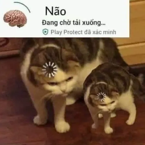 Meme ngu não, tự tin mà sai không trượt phát nào.