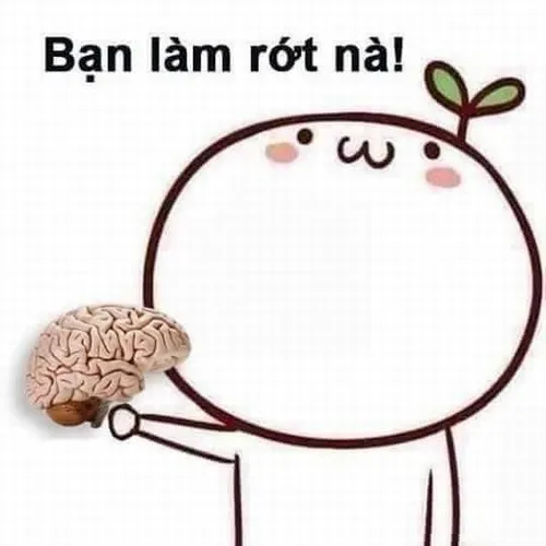 Bạn làm rớt não nè
