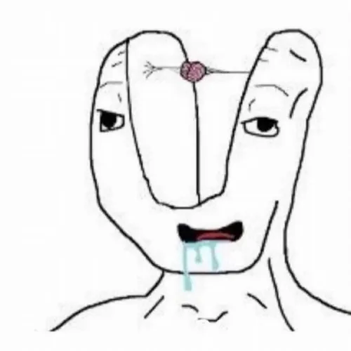 Ảnh hài bỏ quên não ở nhà từ sáng.