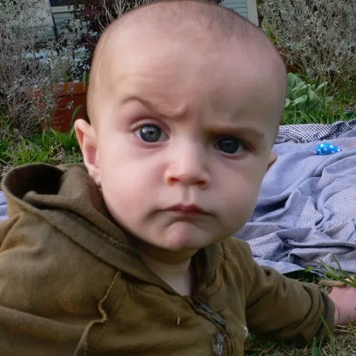 Meme hoài nghi nghe sai sai vui nhộn