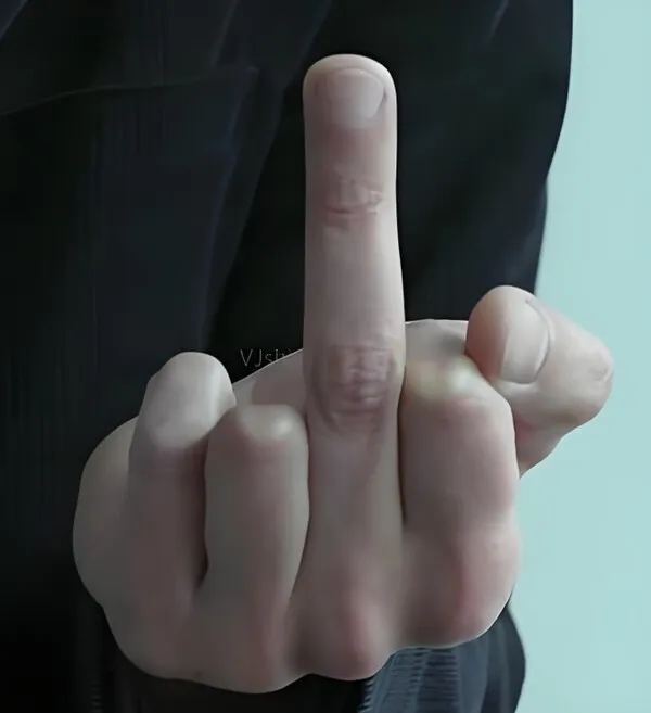 Ảnh troll ngón giữa chế giễu