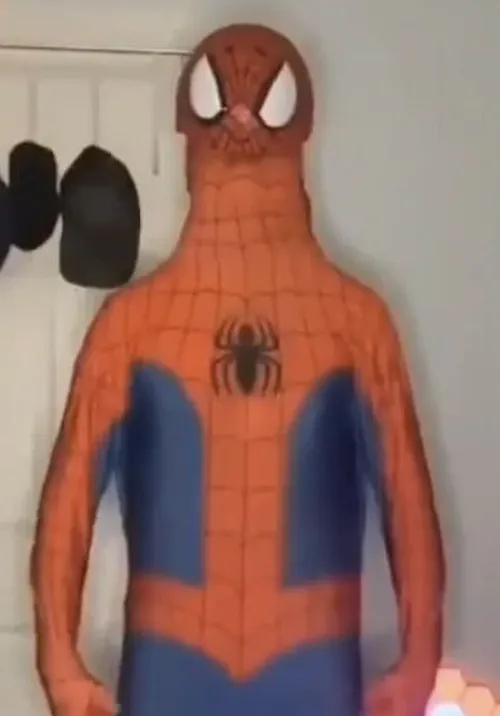 82 81