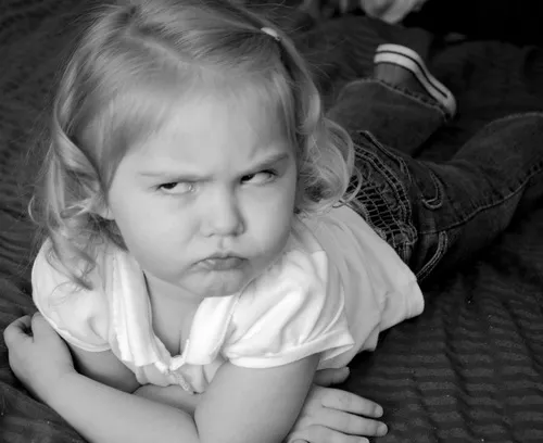 Ảnh vui dân mạng lan truyền vì gương mặt khó ở