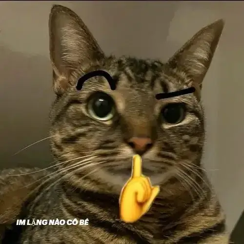 Meme chế nín hợp khi bạn bị làm phiền