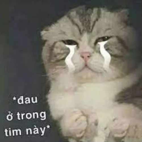 Ảnh chế chỉ tay vào tim – nỗi đau ai cũng từng