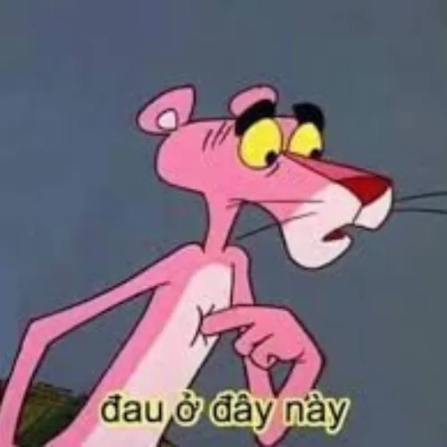 Ảnh troll nhẹ, mà đằng sau là nỗi đau.