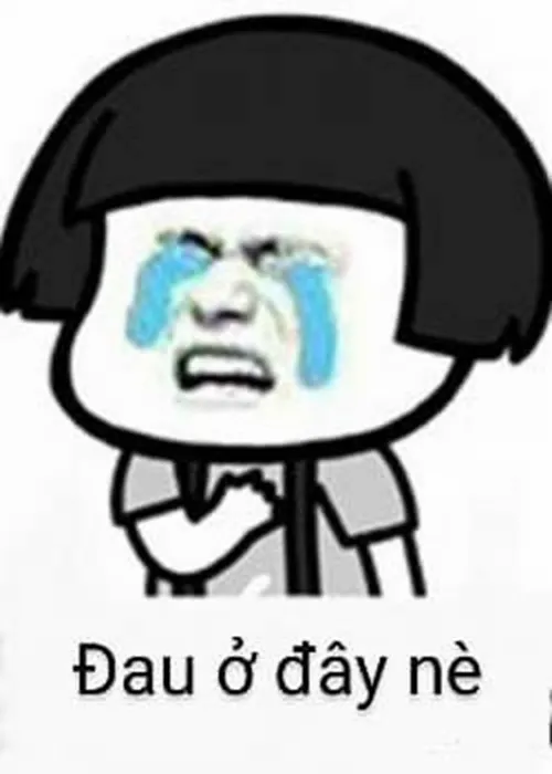 Meme đau ở đây này và những biểu cảm tổn thương nhưng vẫn đáng yêu
