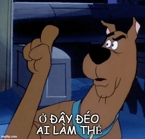 Hình troll ở đây chúng tôi không làm thế, vibe mỉa cực mạnh.