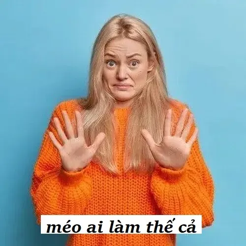 Meme chế ở đây không chơi kiểu đó, vừa gắt vừa hài.