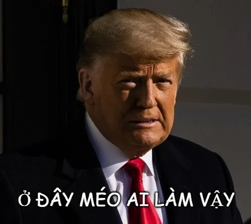 Meme hài tụi tôi làm kiểu khác nha, trend cười mệt nghỉ.