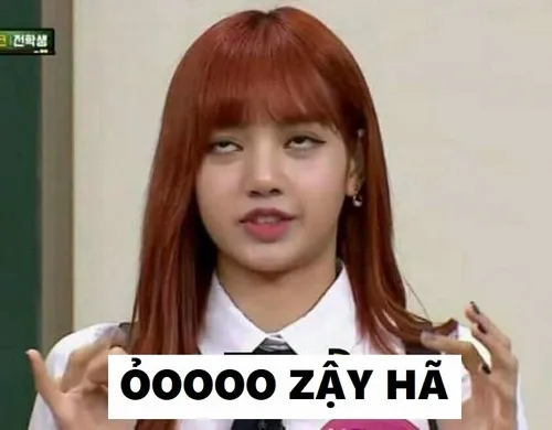 14 Ảnh hài ỏ zậy hã