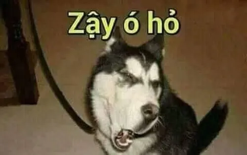 Hành trình biến tiếng “zậy ỏooo” thành meme triệu view Hành trình biến tiếng “zậy ỏooo” thành meme triệu view
