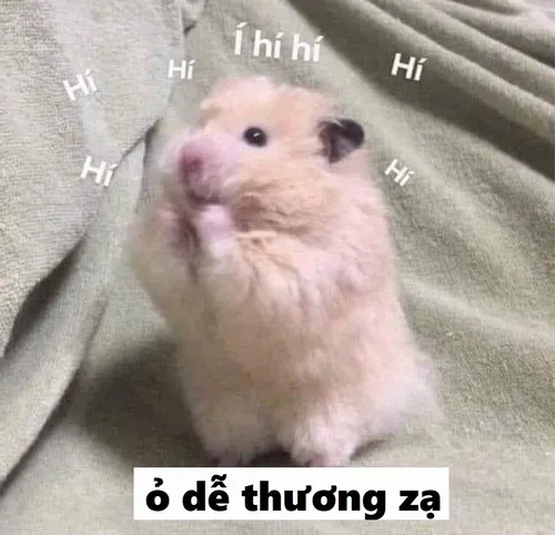 6 Khoảnh khắc meme ỏ mềm tim xuất hiện trong stream.
