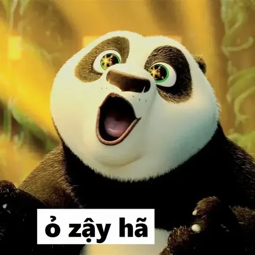 9 Ảnh gấu trúc ỏ zậy hã