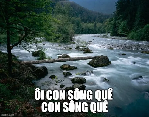 2 “Ơi con sông quê” – meme hot nhất để chọc người bị quê nhẹ