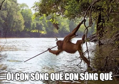 “Ôi con sông quê meme” khiến dân mạng cười xỉu vì pha quê bất hủ “Ôi con sông quê meme” khiến dân mạng cười xỉu vì pha quê bất hủ