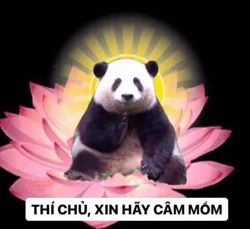 12 Hình chế Vị Thầy Tổ cười nhẹ khi bạn nổi nóng
