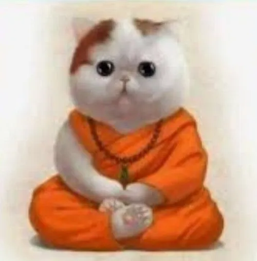 26 25