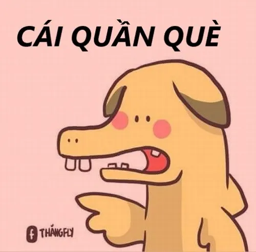 Cười bể bụng với loạt meme quần què chuẩn câu cửa miệng giới trẻ